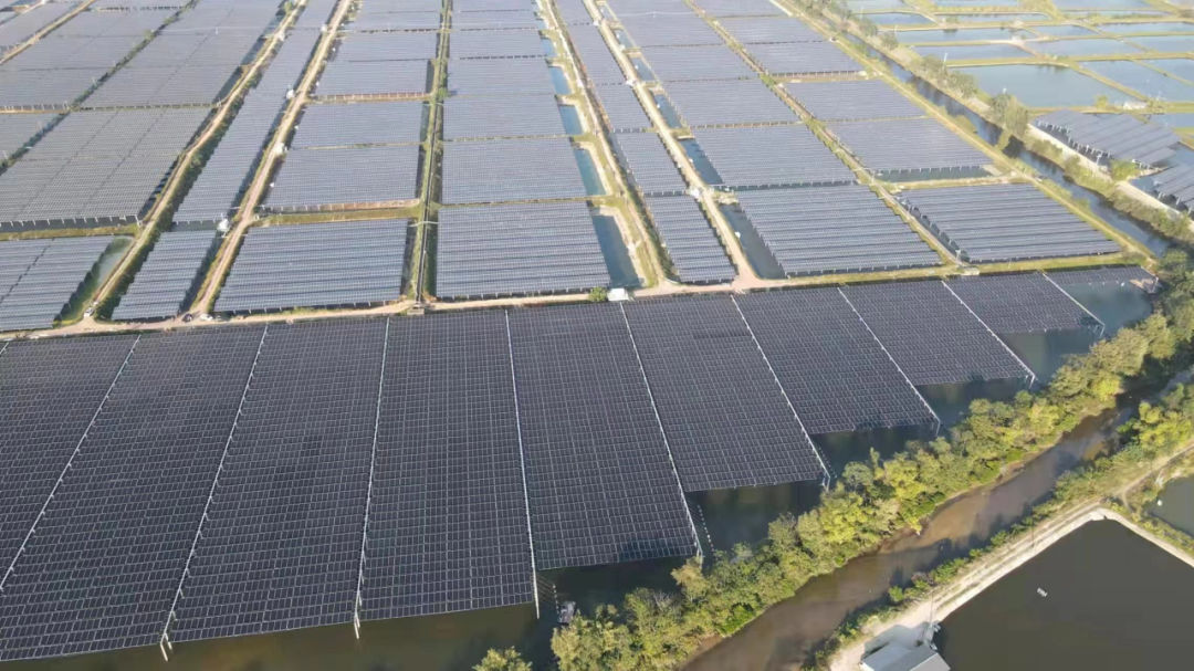 1657004879514828.jpg 640 (1).jpg