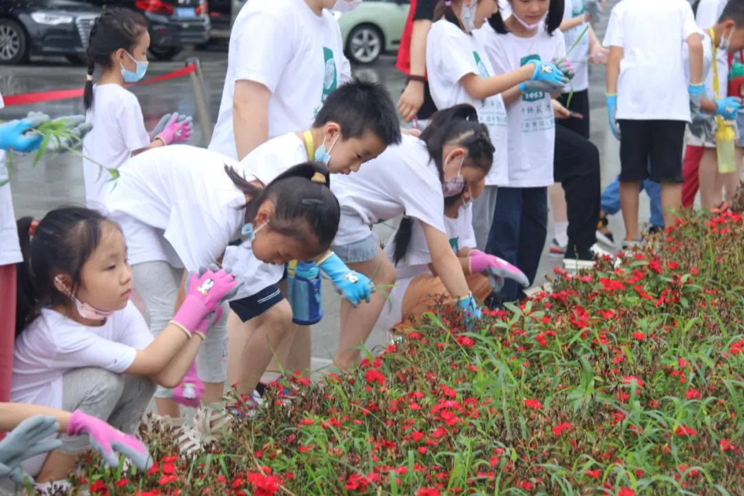 1658797437251531.jpg 640 (4).jpg