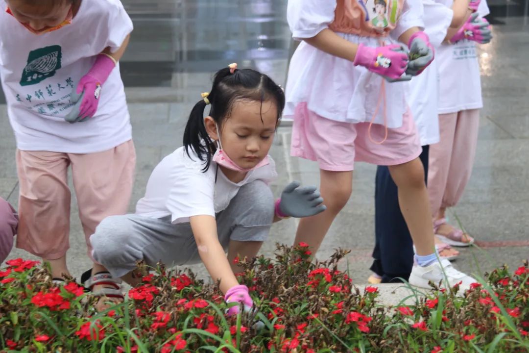 1658797442867074.jpg 640 (5).jpg