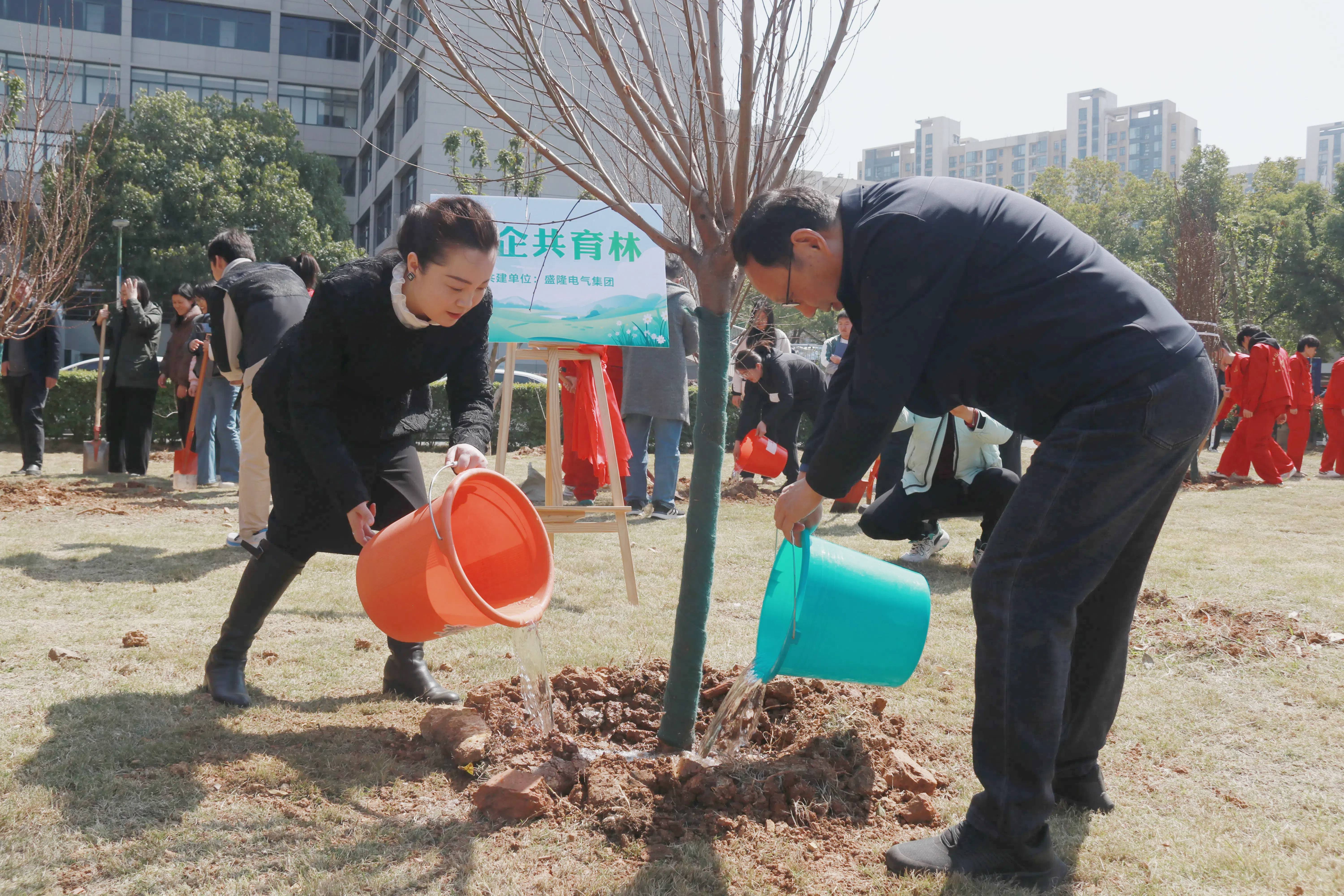 1746840195231008.jpg 1746840195231008.jpg